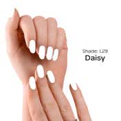 Faces Canada Ultime Pro Splash Luxe Nail Enamel Glossy Finish Quick Drying - Daisy L29 (12 ml)
