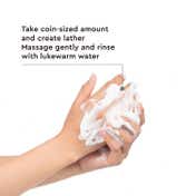 The Face Shop Salicylic Acid Tea Tree Gel Cleanser with AHA & PHA -Korean Face Wash for Acne(150 ml)
