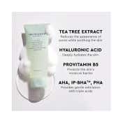The Face Shop Tea Tree Clarifying Combo