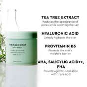 The Face Shop Salicylic Acid Tea Tree Korean Toner Pads with AHA & PHA for Acne & Oily Skin (150 ml)