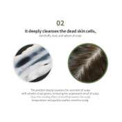 Lador Scalp Scaling Spa Cream (15g)
