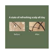 Lador Scalp Scaling Spa Cream (15g)