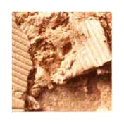 M.A.C Extra Dimension Skinfinish - Oh Darling (9 g)