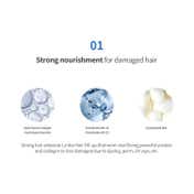 Lador Perfect Hair Fill-Up Hair Ampoule (13ml)
