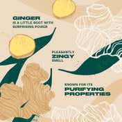 The Body Shop Ginger Anti-Dandruff Shampoo (250 ml)
