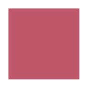 INGLOT Kiss Catcher Lipstick - 921 So Loved (4 g)