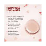 Plum Hibiscus & Ceramides Long & Healthy Conditioner (175g)