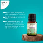 Pilgrim Spanish Rosemary Essential Oil For Hair Growth, Hair Fall Control & Hair Strengthening (10ml)