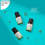 Pilgrim Spanish Rosemary Essential Oil For Hair Growth, Hair Fall Control & Hair Strengthening (10ml)