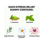 What's Up Wellness Stress Relief Gummies (30 pcs)