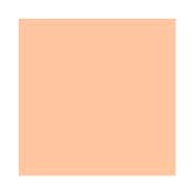 Matt Look Daily Defense Foundation SPF 20 - 05 Golden Beige (40 ml)
