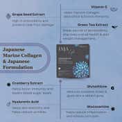 INJA Wellness Life Japanese Marine Collagen, Blueberry Flavour (30 Pcs)