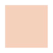 Matt Look Daily Defense Foundation SPF 20 - 01 Classic Ivory (40 ml)