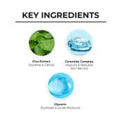 Dr. Sheth's Cica & Ceramide Oil Free Moisturizer (50g)