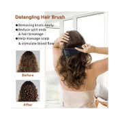 Bronson Professional Wet And Dry Hair Detangler Hair Brush With Spacing Clip