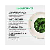 Innisfree Green Tea Care Set: Hyaluronic Serum & Cleansing Foam Combo