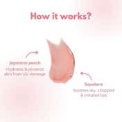 CLAYCO. Japanese Peach & Squalane Overnight Lip Mask (8g)