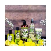 The English Soap Company Royal Botanic Gardens Kew Lemongrass & Lime Hand Wash (500ml)