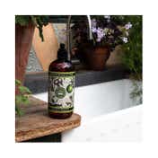 The English Soap Company Royal Botanic Gardens Kew Lemongrass & Lime Hand Wash (500ml)