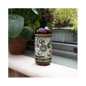 The English Soap Company Royal Botanic Gardens Kew Lemongrass & Lime Hand Wash (500ml)