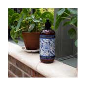 The English Soap Company Royal Botanic Gardens Kew Bluebell & Jasmine Hand Wash (500ml)