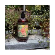 The English Soap Company Royal Botanic Gardens Kew Bergamot & Ginger Hand Wash (500ml)
