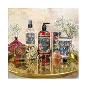 The English Soap Company Royal Botanic Gardens Kew Jasmine Peach Hand Wash (500ml)