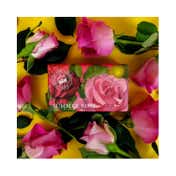 The English Soap Company Royal Botanic Gardens Kew Summer Rose Soap (240g)