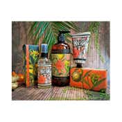 The English Soap Company Royal Botanic Gardens Kew Bergamot & Ginger Soap (240g)