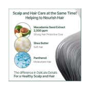 Kundal Tea Tree & Macadamia White Musk Deep Cleansing Shampoo (500ml)