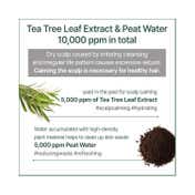 Kundal Tea Tree & Macadamia White Musk Deep Cleansing Shampoo (500ml)