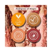 Colorbar Spellbound Eyeshadow & Blush Palette - Multi-Color (36 g)