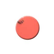Colorbar Vegan Nail Lacquer - Fly Girls-042 (8 ml)