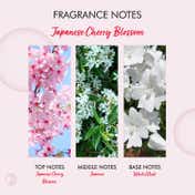 THE LOVE CO. Japanese Cherry Blossom Hand Soap For Moisturized Hands (250ml)