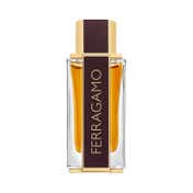 Salvatore Ferragamo Spicy Leather Eau De Parfum (100ml)