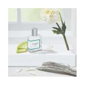 Clean Beauty Classic Rain Eau De Parfum (60ml)
