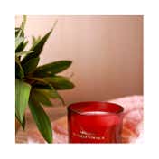 Abu Jani Sandeep Khosla - Maharani - Jasmine & Tuberose Candle (350g)