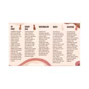 Miss Nails Nail Polish - The Nudes (5 Pcs)