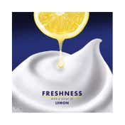 Gillette Classic Lemon Lime Pre Shaving Foam (196g)