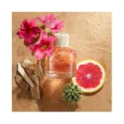 Hollister Canyon Escape For Her Eau De Parfum (100ml)