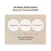 SKIN1004 Madagascar Centella Probio-Cica Intensive Ampoule (50ml)