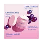 Caudalie Resveratrol-Lift Firming Night Cream (50 ml)