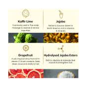 The Earth Collective Hair Conditioner For Oily Hair (200 ml)