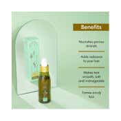 The Earth Collective Overnight Hair Illuminator Serum (100 ml)