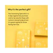 The Earth Collective The Volumizing Specialist Gift Box (4 Pcs)