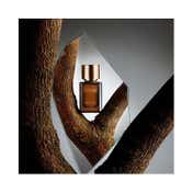EMBARK Oud Wood Eau De Parfum For Unisex (50 ml)