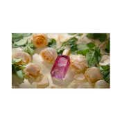 The Body Shop Full Rose Eau De Parfum For Unisex (75ml)