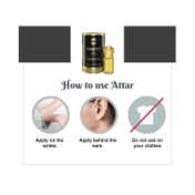 AJMAL Magnetize Concentrated Perfume For Men (5 ml)