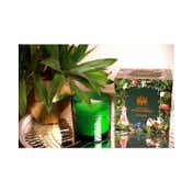 Abu Jani Sandeep Khosla - Mehbooba - Rose & Oud Candle (350g)