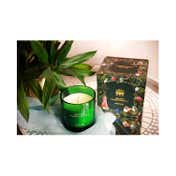 Abu Jani Sandeep Khosla - Mehbooba - Rose & Oud Candle (350g)